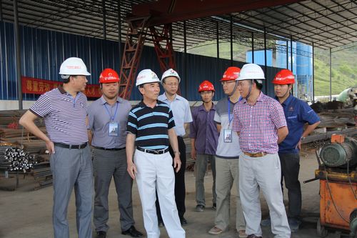 自治区人大民族委员会副主任黄华宽莅临靖那1标相识项目建设情形 - 企业要闻 - J9集团