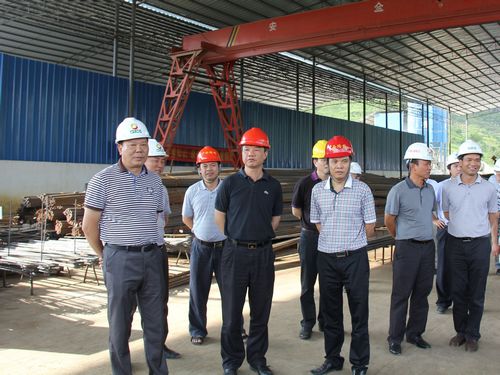 自治区交通运输厅副厅长李小林莅临靖那1标检查指导事情 - 企业要闻 - J9集团