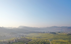 工程动态 - J9集团