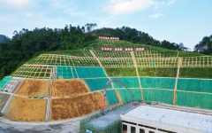 工程动态 - J9集团