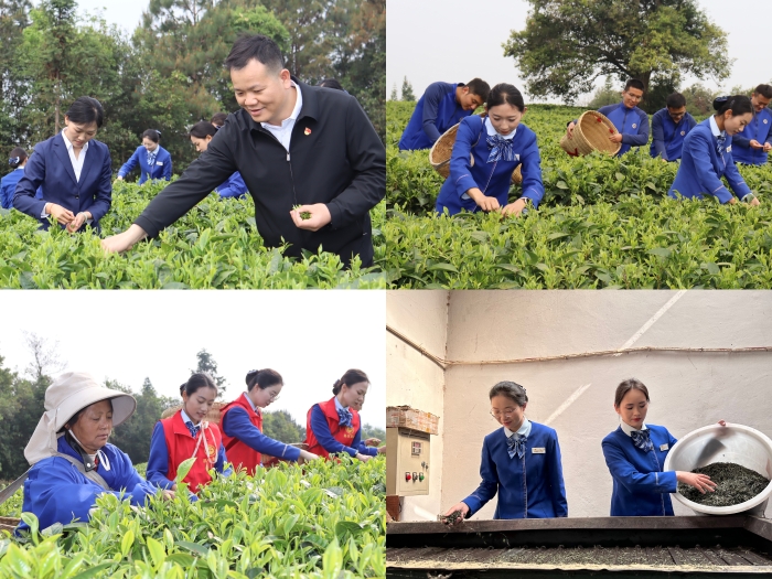 J9集团-国际站最新官网